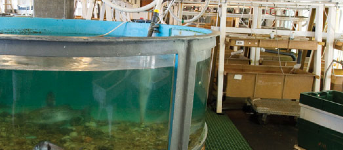 Marine Resource Center