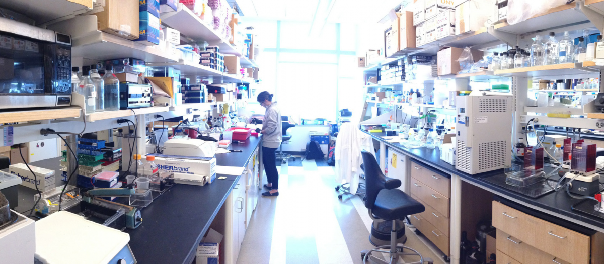 University of Chicago Digestive Disease Research Core Center