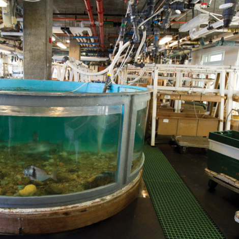 Marine Resource Center